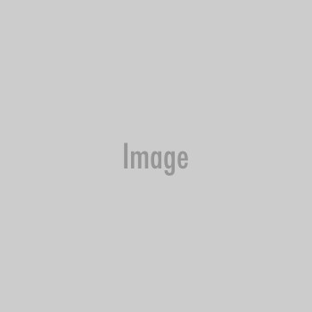 Hamburg raises €750m as German states enjoy stable market