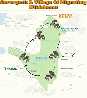Serengeti: A Village Of Migrating Wildebeest