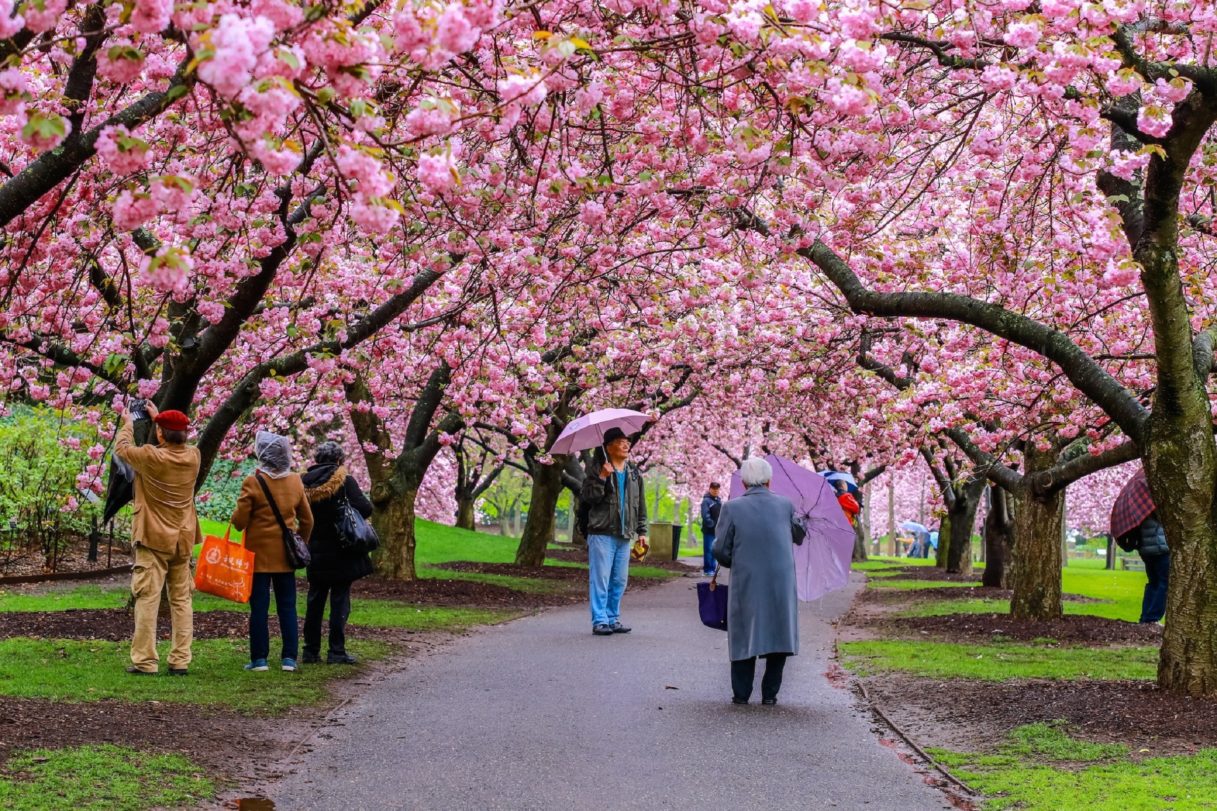 The best things to do this April 2025 in NYC