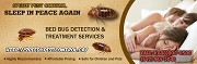 Significance Of Pest Control Bedbugs Richmond Hill For Your Business