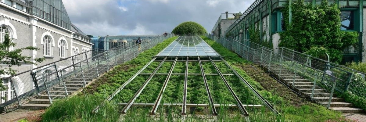 Don't Miss Greening Modern Cities in Warsaw in Person or Online March 21, 2025 