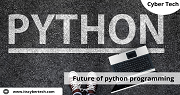 Why Python Is the Future of web application development?
