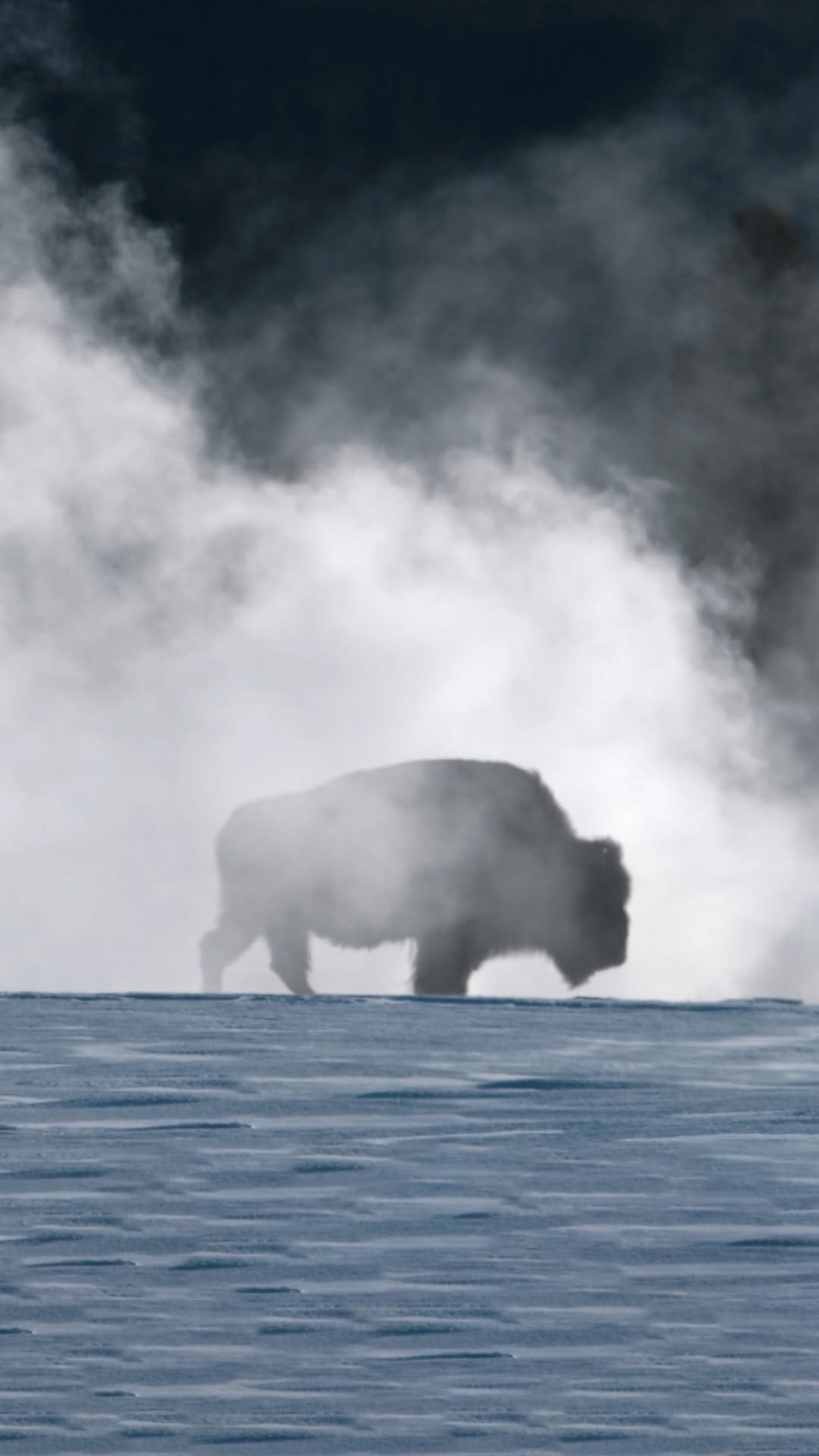 Another name for a winter wonderland? That'd be ''Yellowstone National Park'' ?? #NationalParksUSA is now streaming on @hu...