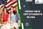 Hiring New OPT students in USA