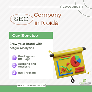  Best SEO Company in Noida | Cotgin Analytics 