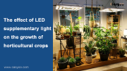 The effect of LED supplementary light on the growth of horticultural crops